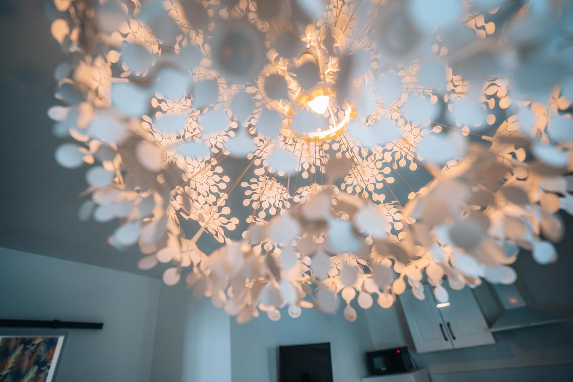 Les Petits Roys - Proche Centre Ville - Cosy Châteauroux Kültér fotó