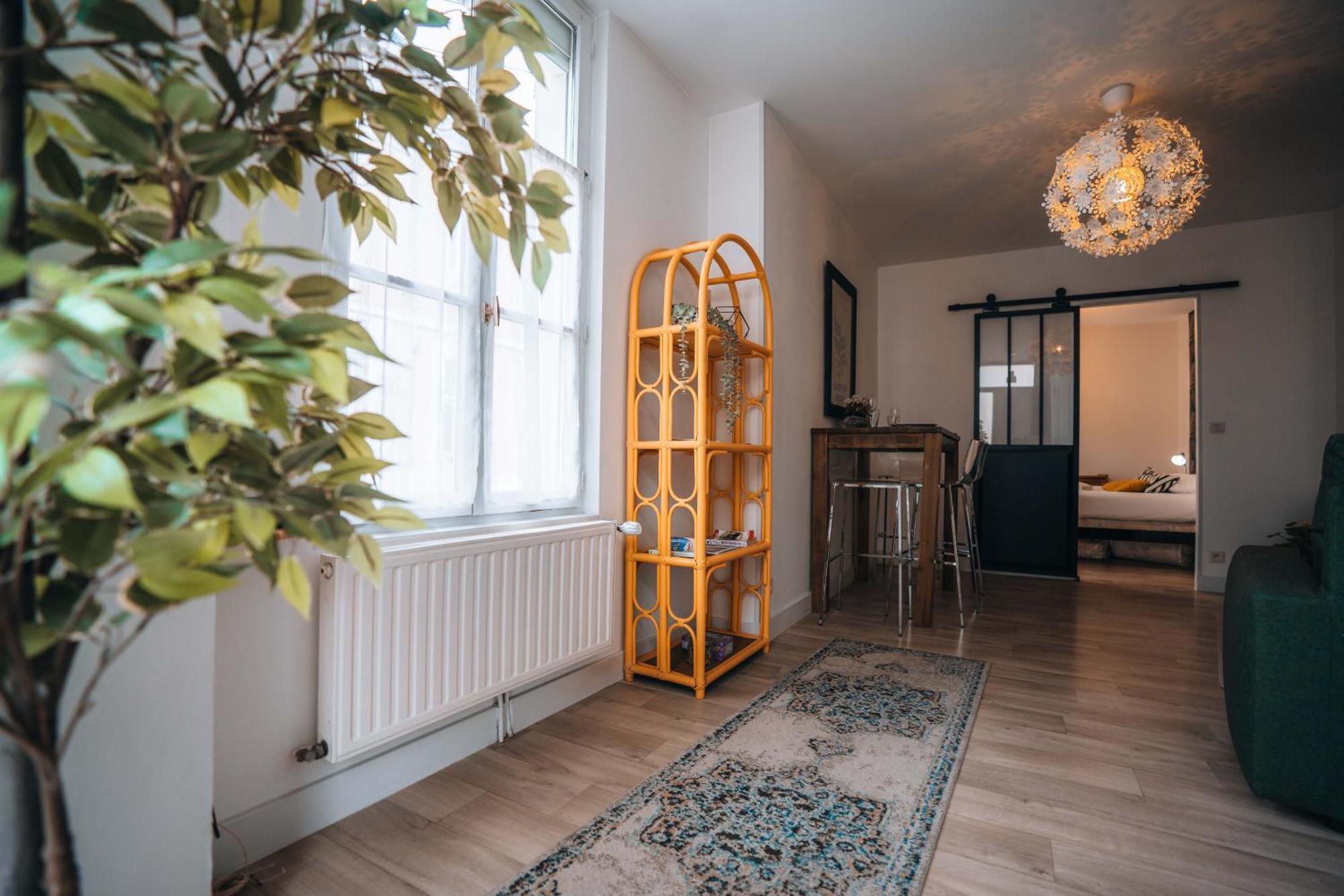 Les Petits Roys - Proche Centre Ville - Cosy Châteauroux Kültér fotó